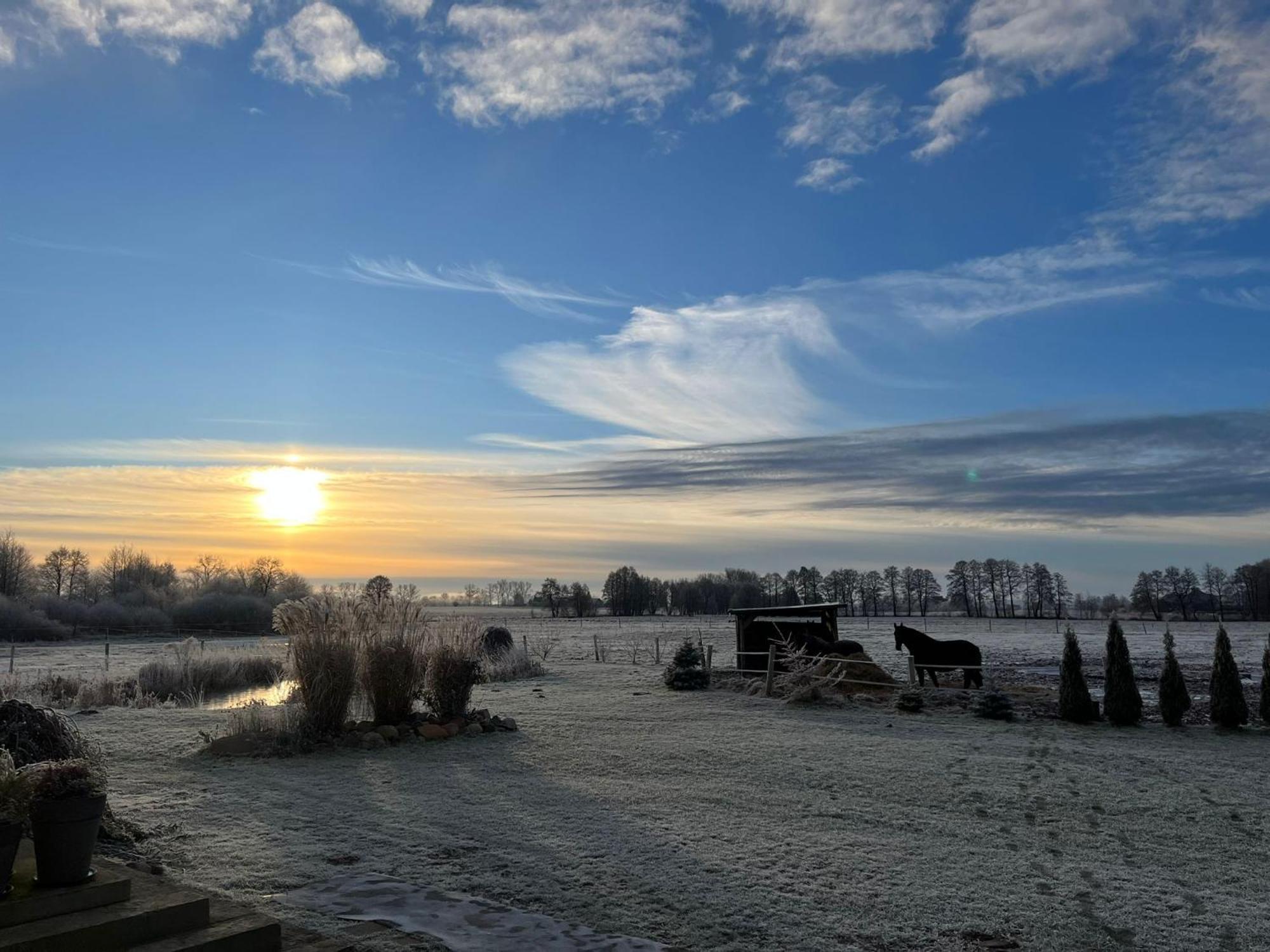 Stajnia Orlowscy Farm stay