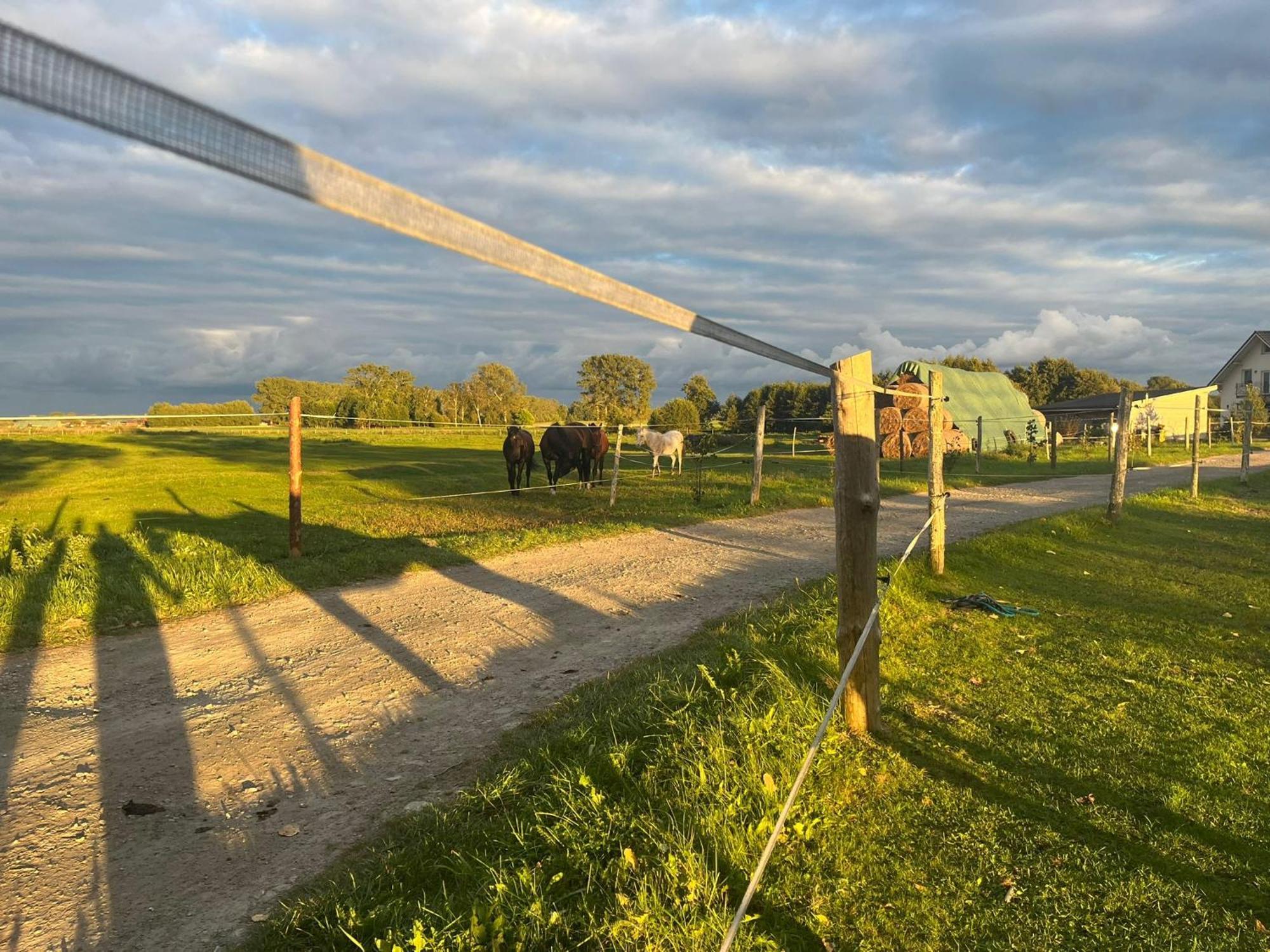 Stajnia Orlowscy Farm stay *